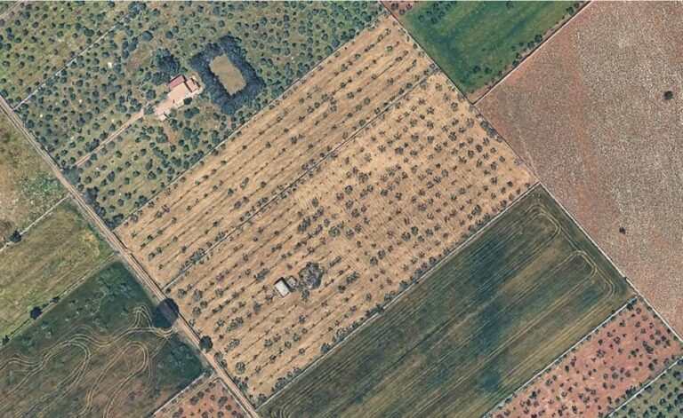 Terreno Agricolo in Vendita a Santeramo in Colle (Bari) di 28444.00 mq